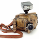 Illustration for article titled Curious cameras made from stuffed armadillos and turtle shells